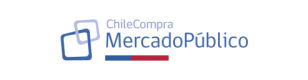 bracace.cl chile compra mercado publico